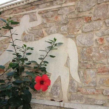 κέδρος Appartement *