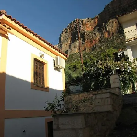 Daire κέδρος Leonídion