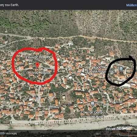 κέδρος Leonídion