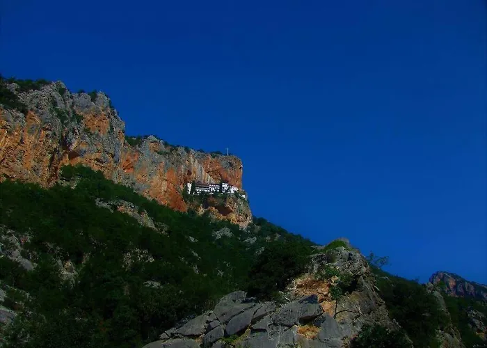 κέδρος Leonídio