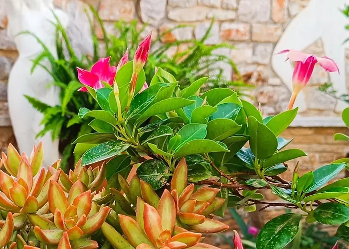 κέδρος Apartman *