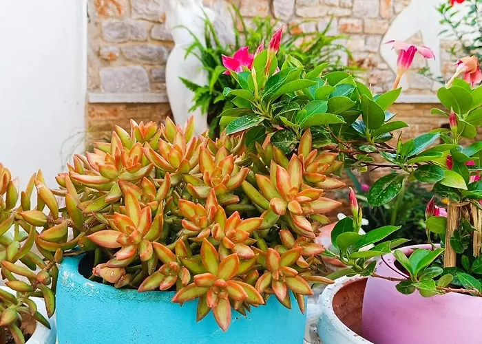 κέδρος Lägenhet Leonídion